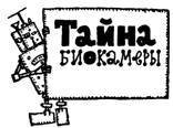 Искатель. 1962. Выпуск №6 - pic_42.jpg