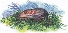 Великан на поляне или первые уроки экологической этики - _97.jpg