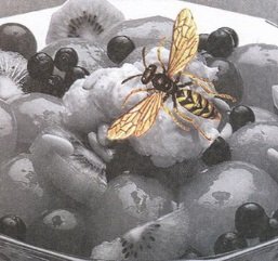 Великан на поляне или первые уроки экологической этики - _23.jpg
