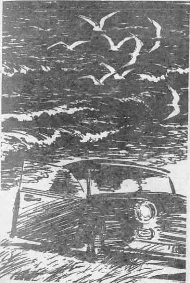 Современный Американский детектив - i_006.jpg