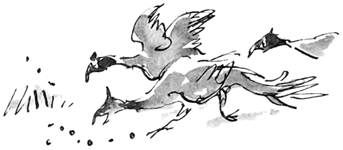 Дэнни -  чемпион мира - i_019.png