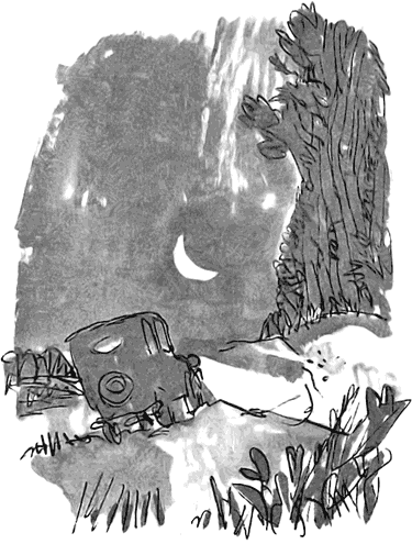 Дэнни -  чемпион мира - i_028.png
