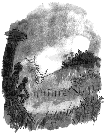 Дэнни -  чемпион мира - i_039.png