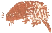 Медовый дождь - i_067.png