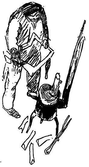 Собрание сочинений. Т.11. - i_029.png