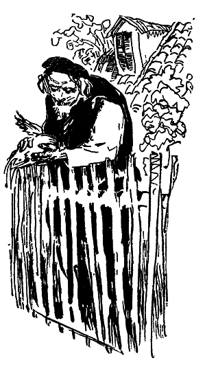 Собрание сочинений. Т.11. - i_040.png