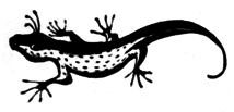 Ямы - i_003.png