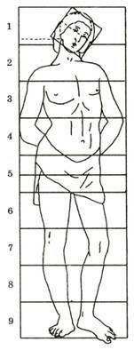 Основы рисунка для учащихся 5-8 классов - pic_112.jpg