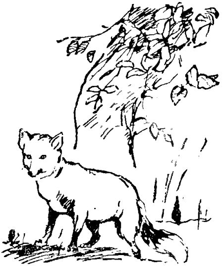 Первый особого назначения - i_012.png