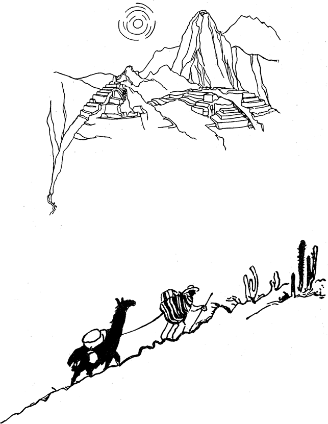 От «Кон-Тики» до «Ра» - i_004.png