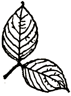 Маленькие дикари (Рисунки автора) - i_003.png
