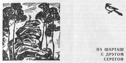Лагерь на озере чикомасов - pic_2.jpg