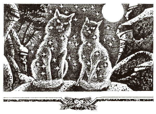 Судьба Небесного племени.  Сомнение - i_017.png