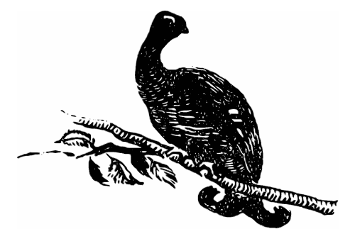 Охотничьи тропы - i_015.png