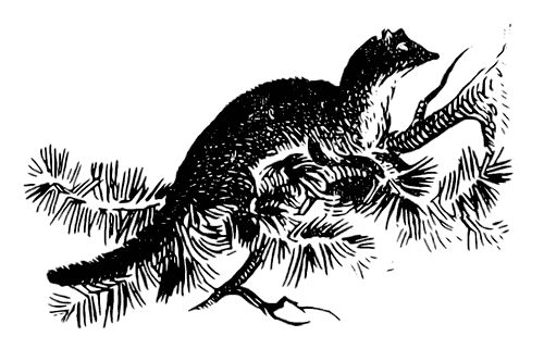 Охотничьи тропы - i_050.png