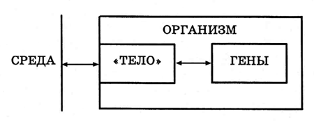 Энциклопедия Амосова. Алгоритм здоровья - i_004.png