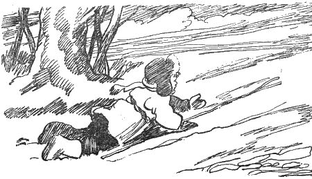Внук старого Грома - i_005.png