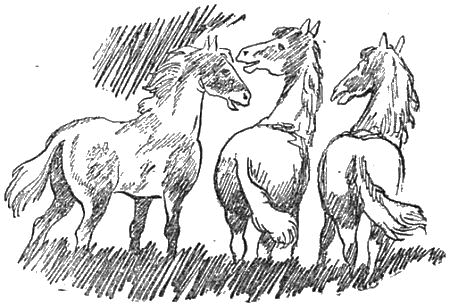 Внук старого Грома - i_008.png