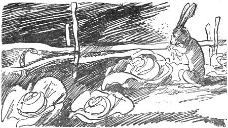 Внук старого Грома - i_009.png