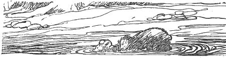 Внук старого Грома - i_024.png