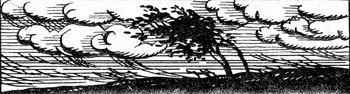 Хочу все знать 1970 - _063_Trees.jpg
