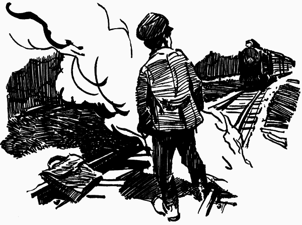 Журавли и цапли . Повести и рассказы - i_025.png