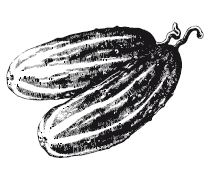 365 рецептов на каждый день - i_006.png