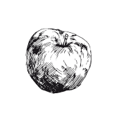 365 рецептов на каждый день - i_019.png