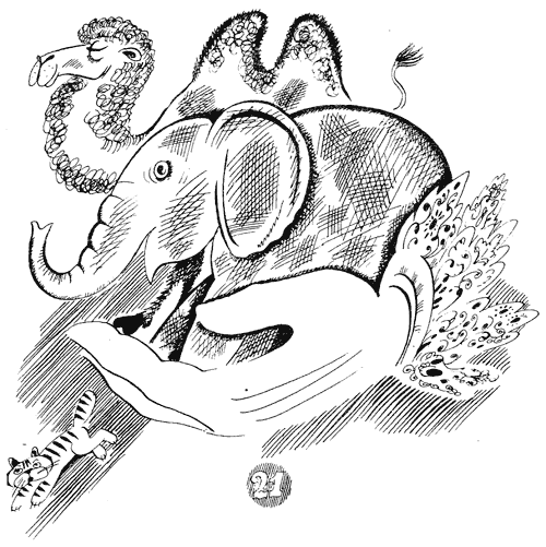 25 загадок — 25 отгадок - i_022.png