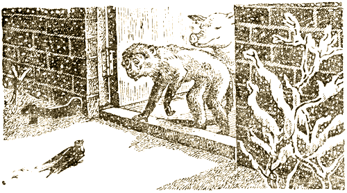 Доктор Айболит [Издание 1936 г.] - i_020.png
