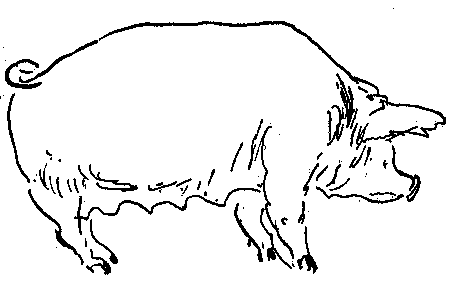 Солнечная - i_029.png