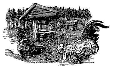 Русские народные сказки (Сост. В. П. Аникин) - _32.jpg
