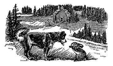 Русские народные сказки (Сост. В. П. Аникин) - _4.jpg