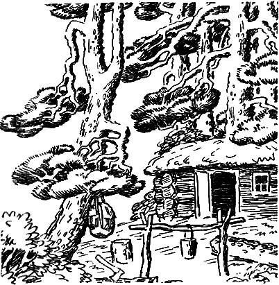 Бурундук - i_002.png