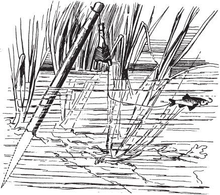 Все о рыбалке (сборник) - _54.png