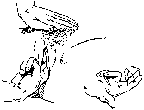 Библия секса - i_023.png