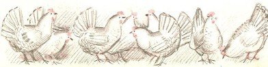 Нахаленок - i_014.jpg