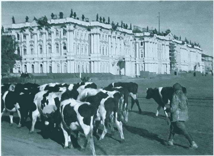 Повседневная жизнь блокадного Ленинграда - i_014.jpg