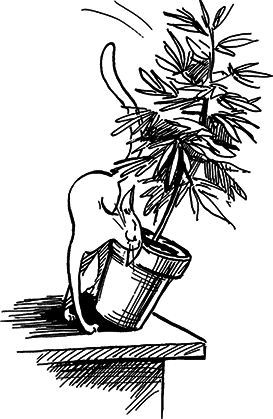 Космопсихолухи. Том 2 - i_001.png