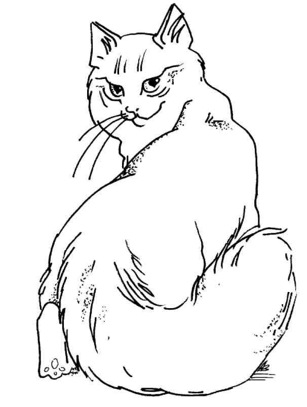 Кошки как дети - i_008.jpg