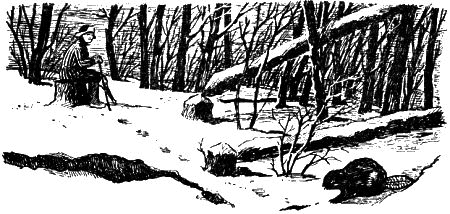 Севка, Савка и Ромка - i_005.png