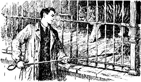 Севка, Савка и Ромка - i_010.png
