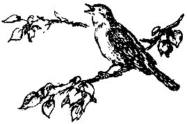 Севка, Савка и Ромка - i_016.png