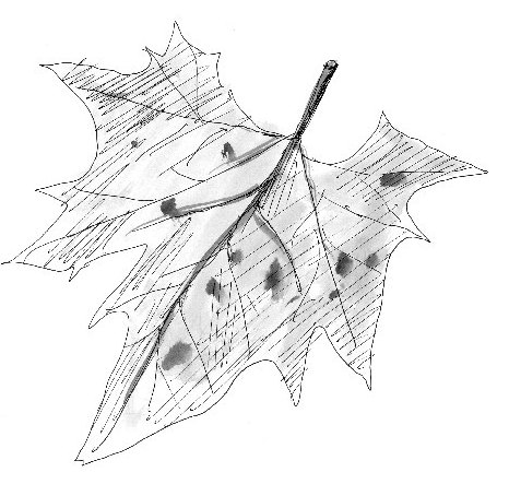 Загогулина - i_007.png