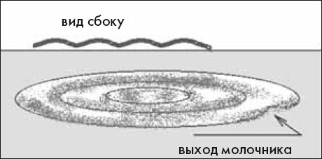 Как понять сложные законы физики. 100 простых и увлекательных опытов для детей и их родителей - _24.png