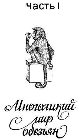 Обезьяны, обезьяны, обезьяны... - _3.jpg