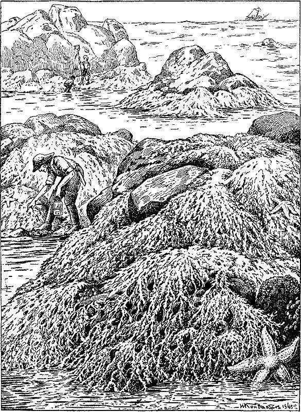 Море живёт - _127.jpg