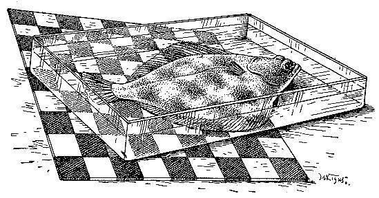 Море живёт - _62.jpg