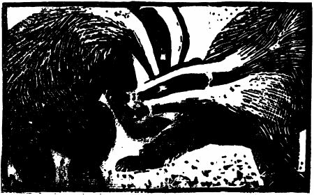 Фридолин, нахальный барсучок - i_003.png