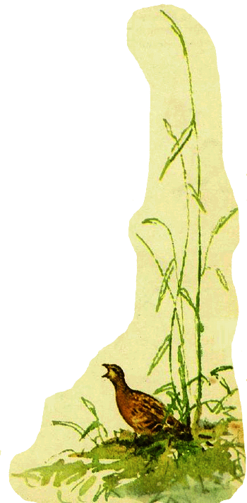 Домик на берёзе - i_020.png